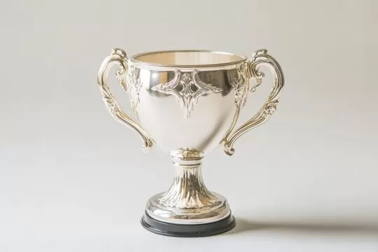 荣誉与认可：您的选择，我们的动力